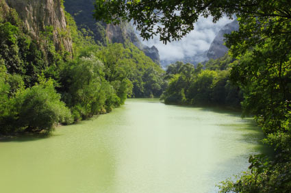 Amazonia River